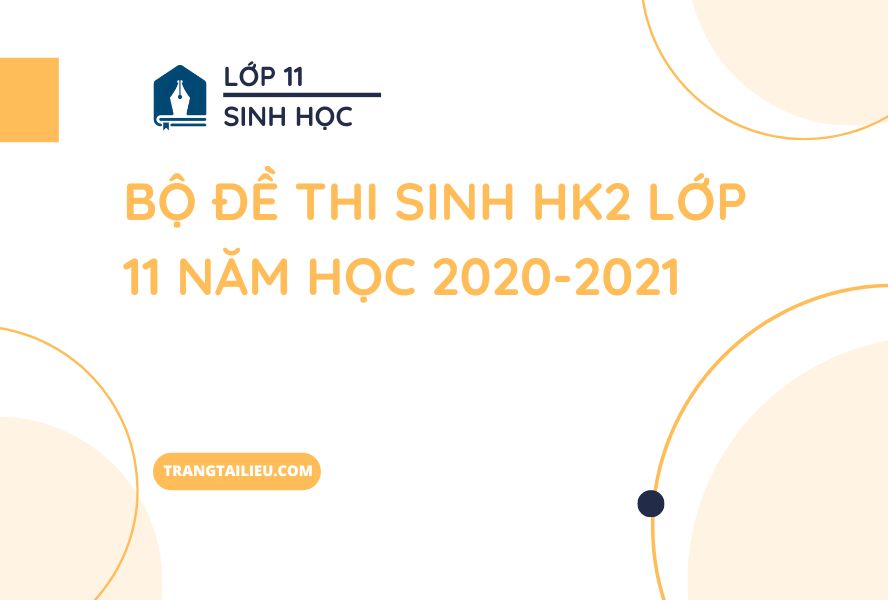 Bộ Đề Thi Sinh HK2 Lớp 11 Năm Học 2020-2021 Có Đáp Án