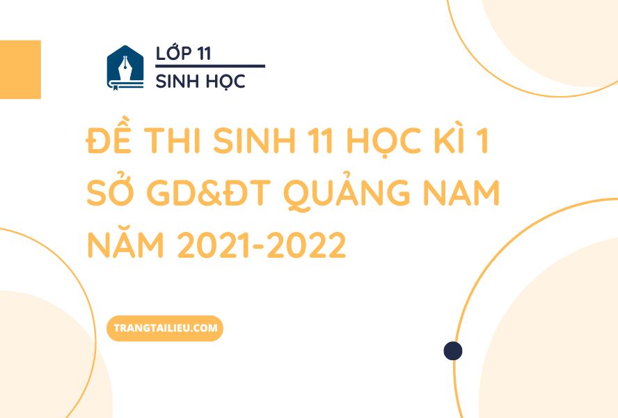 Đề Thi Sinh 11 Học Kì 1 Sở GD&ĐT Quảng Nam Năm 2021-2022