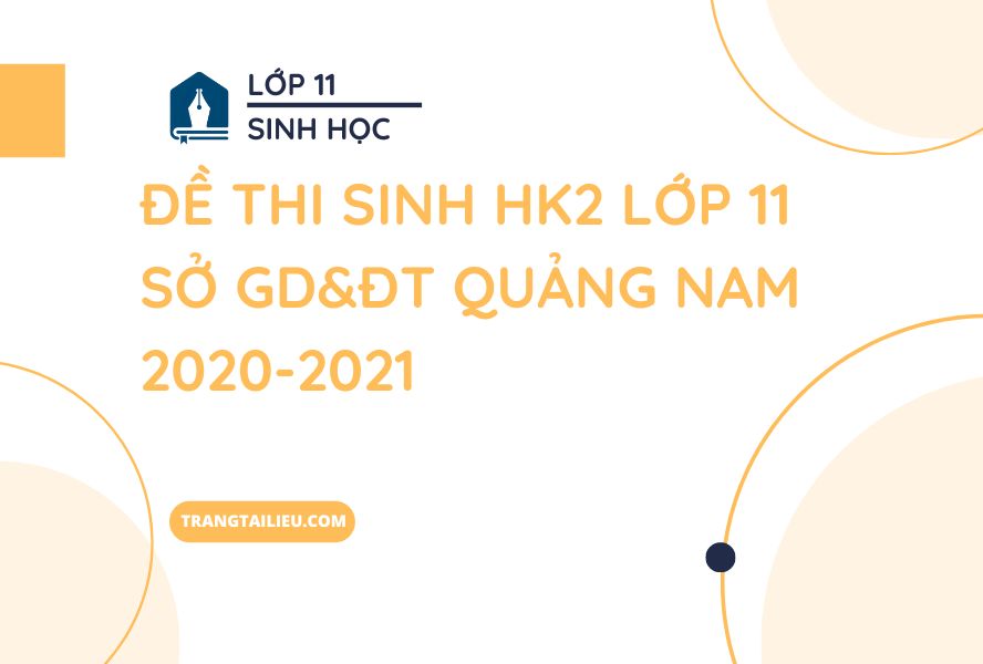 Đề Thi Sinh HK2 Lớp 11 Sở GD&ĐT Quảng Nam 2020-2021
