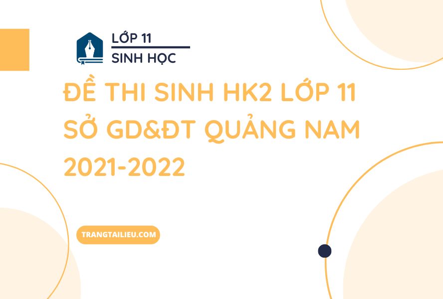 Đề Thi Sinh HK2 Lớp 11 Sở GD&ĐT Quảng Nam 2021-2022