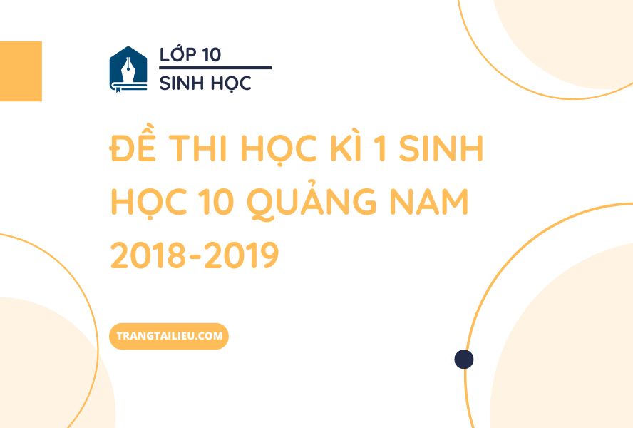 Đề Thi học kì 1 Sinh Học 10 Quảng Nam 2018-2019